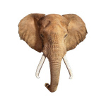 MADD CAPP Puzzle I am Elephant 700 elementów