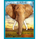 MADD CAPP Puzzle I am Elephant 700 elementów